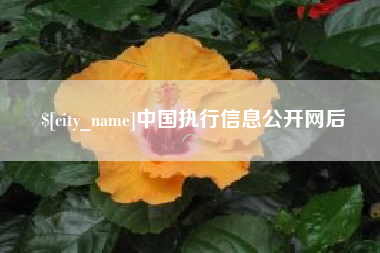 定边中国执行信息公开网后