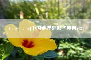 定边中国金牌是哪些项目2021