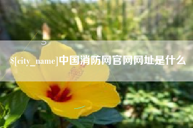 定边中国消防网官网网址是什么