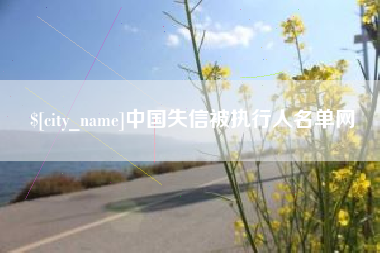 定边中国失信被执行人名单网
