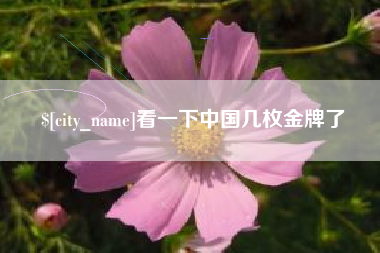 定边看一下中国几枚金牌了
