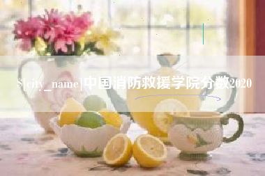 定边中国消防救援学院分数2020