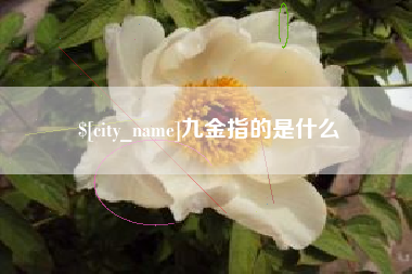 定边九金指的是什么