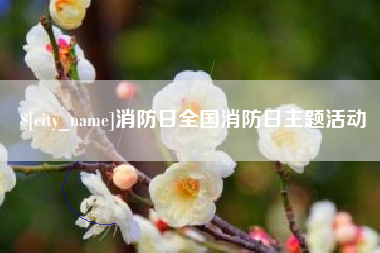 定边消防日全国消防日主题活动