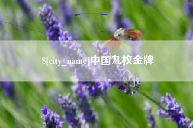 定边中国九枚金牌