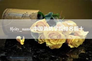 定边中国消防学院排名前十