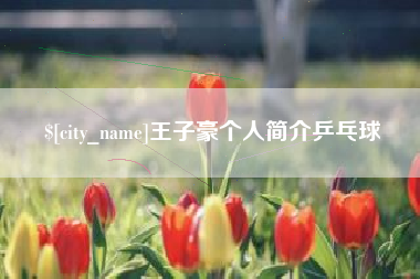 定边王子豪个人简介乒乓球