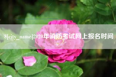 定边2020年消防考试网上报名时间