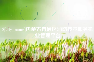 定边内蒙古自治区消防技术服务执业管理平台