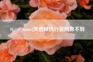 定边失信被执行官网查不到