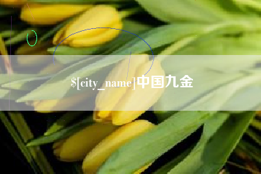 定边中国九金