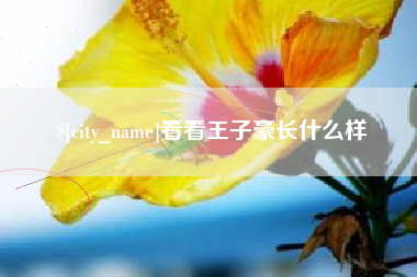 定边看看王子豪长什么样