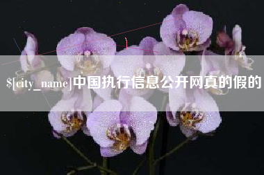 定边中国执行信息公开网真的假的