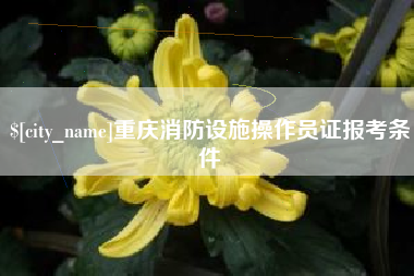 定边重庆消防设施操作员证报考条件