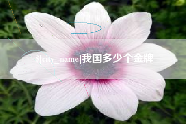 定边我国多少个金牌