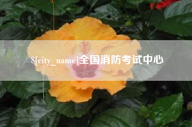 定边全国消防考试中心