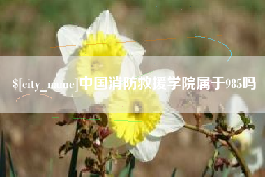 定边中国消防救援学院属于985吗