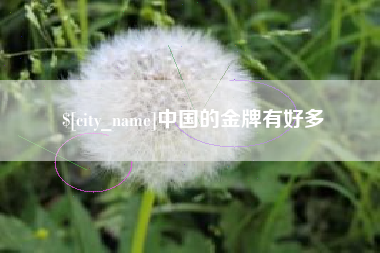 定边中国的金牌有好多