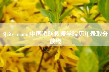定边中国消防救援学院历年录取分数线