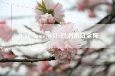 定边11月9日消防日全称