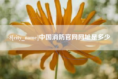 定边中国消防官网网址是多少