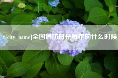 定边全国消防日是每年的什么时候