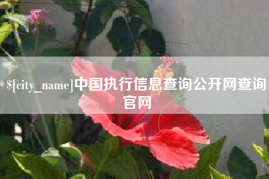 定边中国执行信息查询公开网查询官网