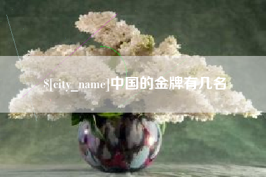 定边中国的金牌有几名