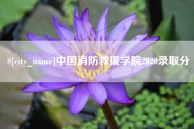 定边中国消防救援学院2020录取分