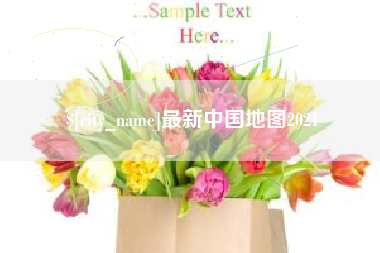 定边最新中国地图2021