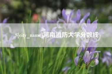 定边河南消防大学分数线