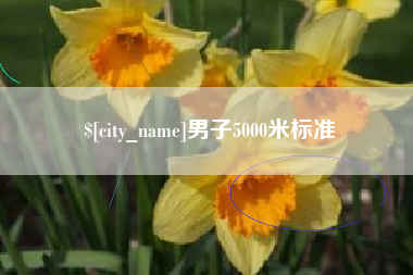 定边男子5000米标准