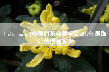 定边中国消防救援学院2019年录取分数线是多少