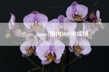定边国内5000米成绩