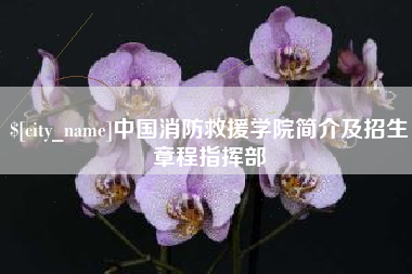 定边中国消防救援学院简介及招生章程指挥部