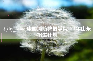 定边中国消防救援学院2021年山东招生计划