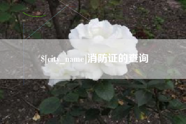 定边消防证的查询
