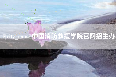 定边中国消防救援学院官网招生办