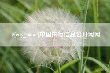 定边中国执行信息公开网网