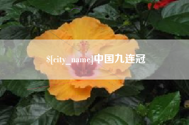 定边中国九连冠