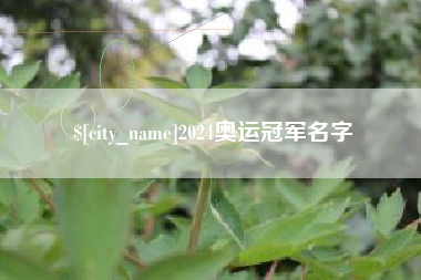 定边2024奥运冠军名字