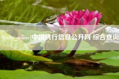 定边中国执行信息公开网 综合查询