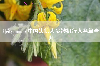 定边中国失信人员被执行人名单查询
