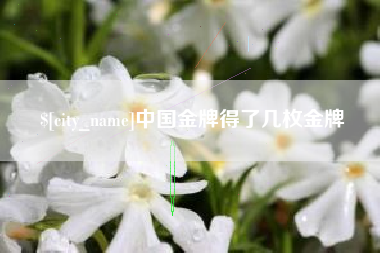 定边中国金牌得了几枚金牌