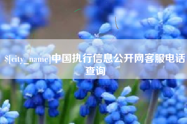 定边中国执行信息公开网客服电话查询