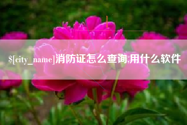定边消防证怎么查询,用什么软件