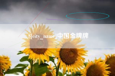 定边中国金牌牌