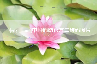 定边中国消防官方二维码图片