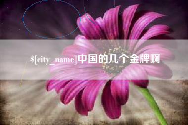 定边中国的几个金牌啊