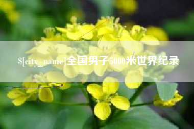 定边全国男子5000米世界纪录